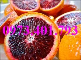 cam máu5_result.webp