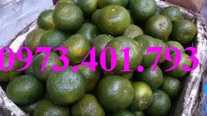 cam sành2_result.webp