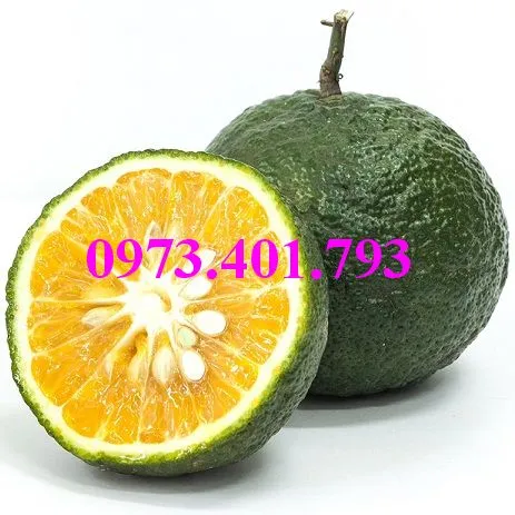 cam sành5_result.webp