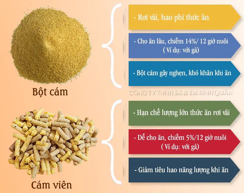 cám-viên-chăn-nuôi.webp