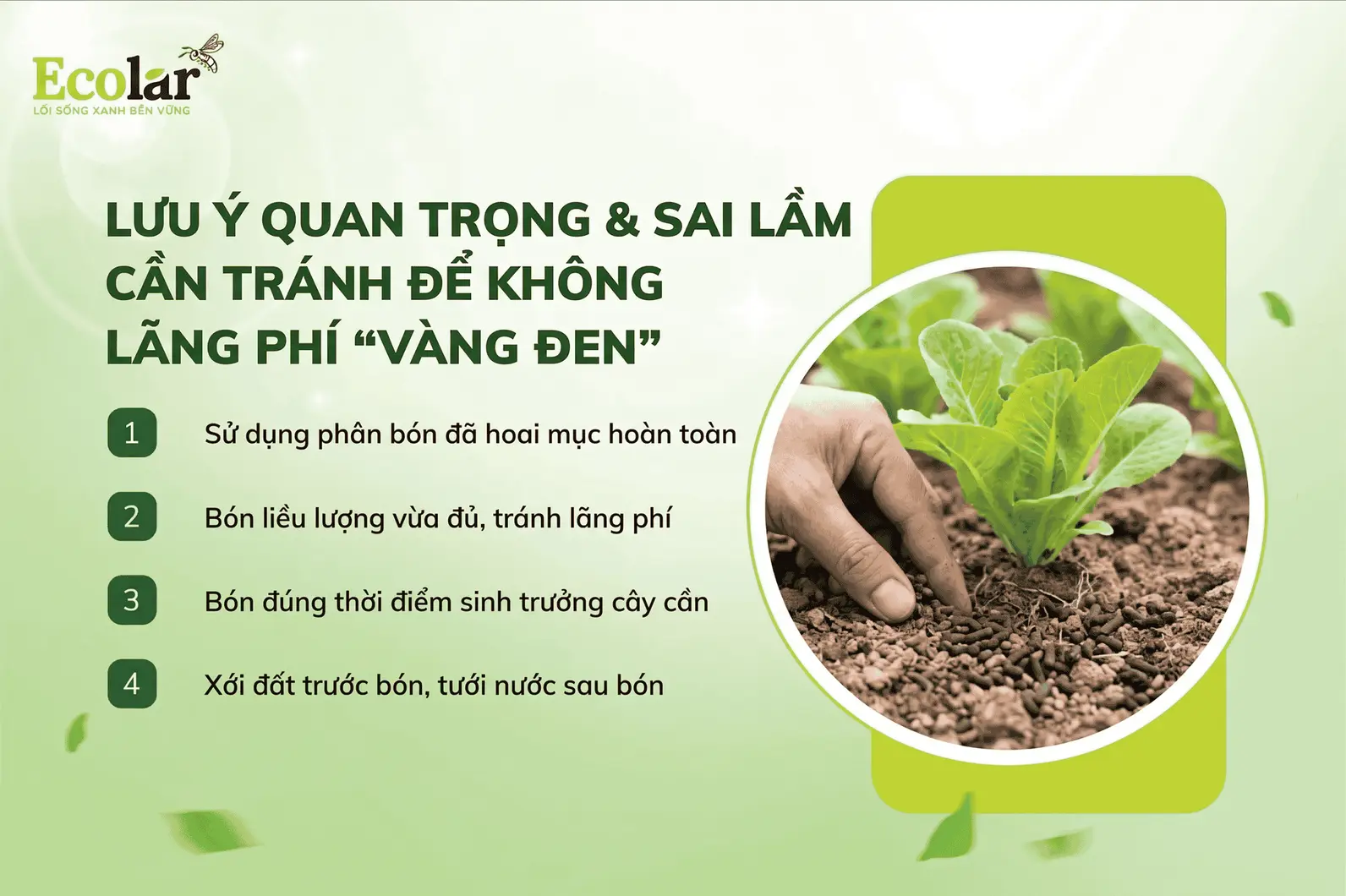 -can-tranh-de-khong-lang-phi-vang-den_3229759e183a4736bdd50f0175fcb69c (1).webp