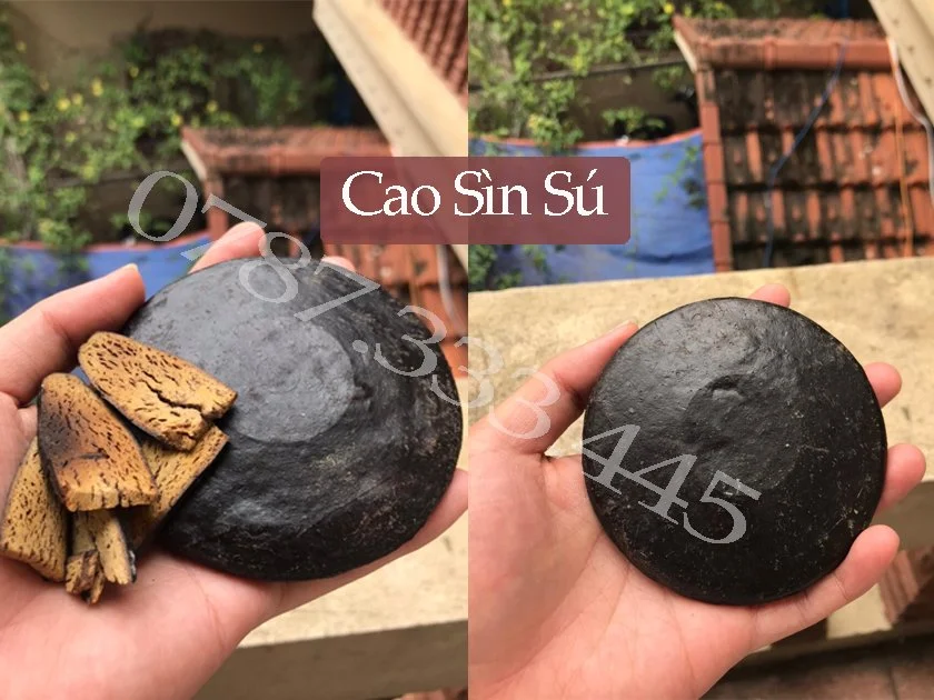 Cao Sìn Sú.webp