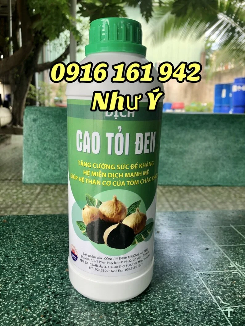 cao tỏi 1.webp