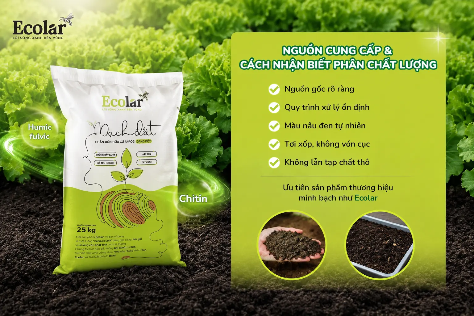 cap-va-cach-nhan-biet-phan-chat-luong_70c8b5f5afc148818cd29cec40822405.webp