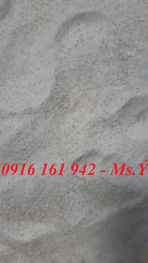 Care Bio 2020 mẫu.webp