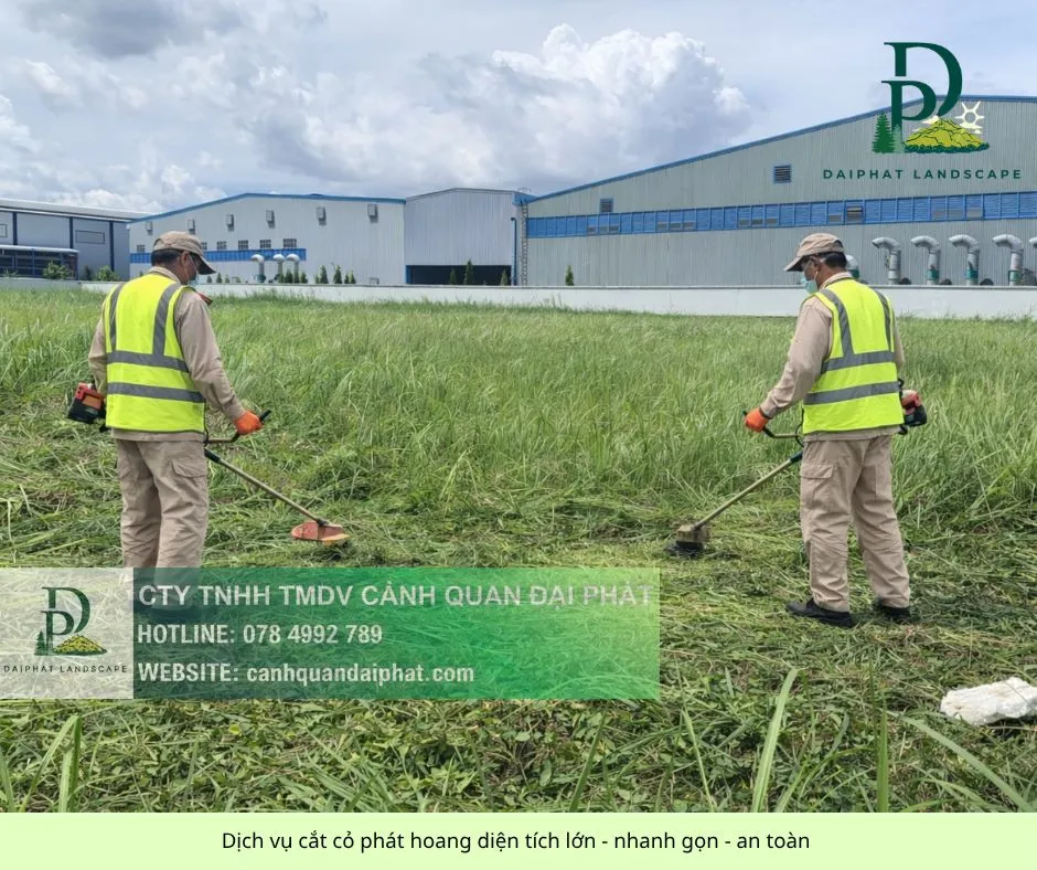 cắt cỏ diện tích lớn giá rẻ 19042026 2.webp
