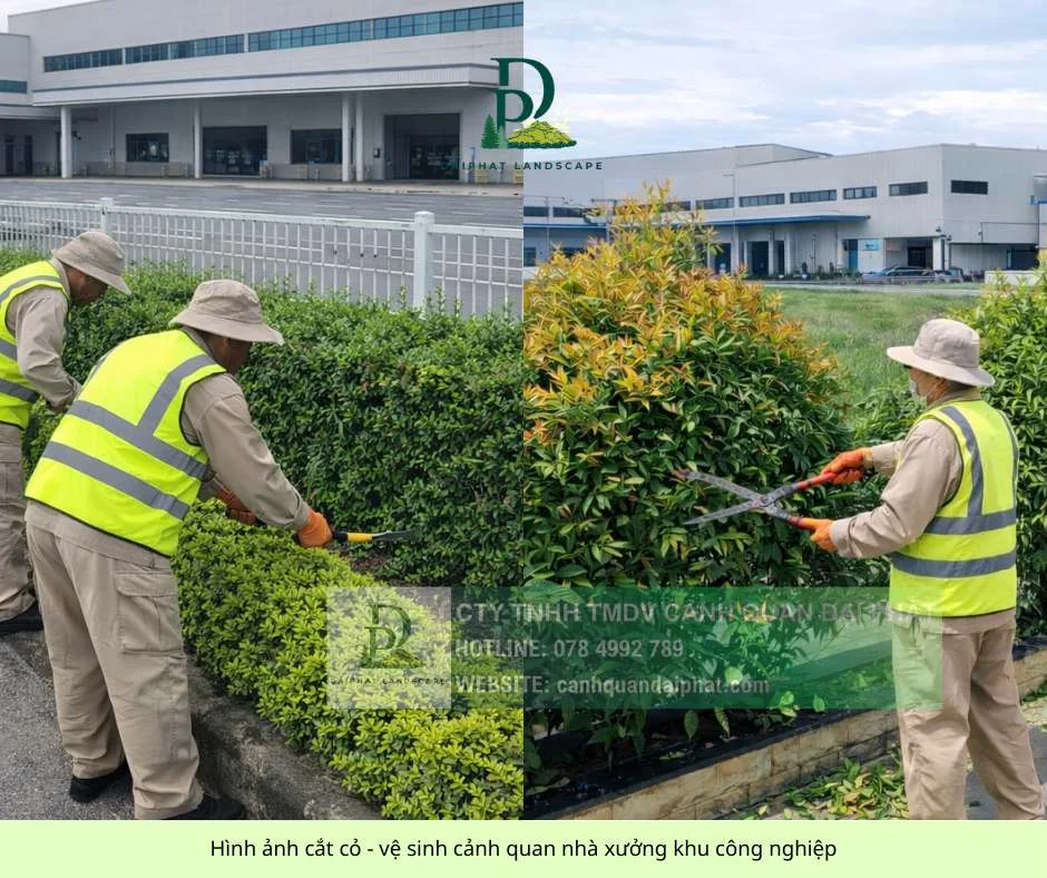 cắt cỏ vệ sinh cảnh quan công ty nhà xưởng  050306 3.webp