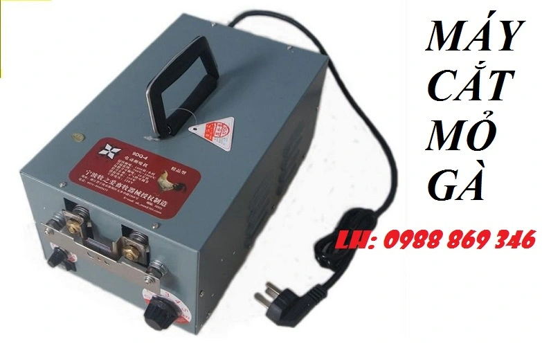 CẮT MỎ GÀ 5.webp