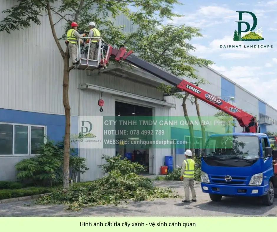 Cắt tỉa cây xanh công ty nhà xưởng 150326 1.webp