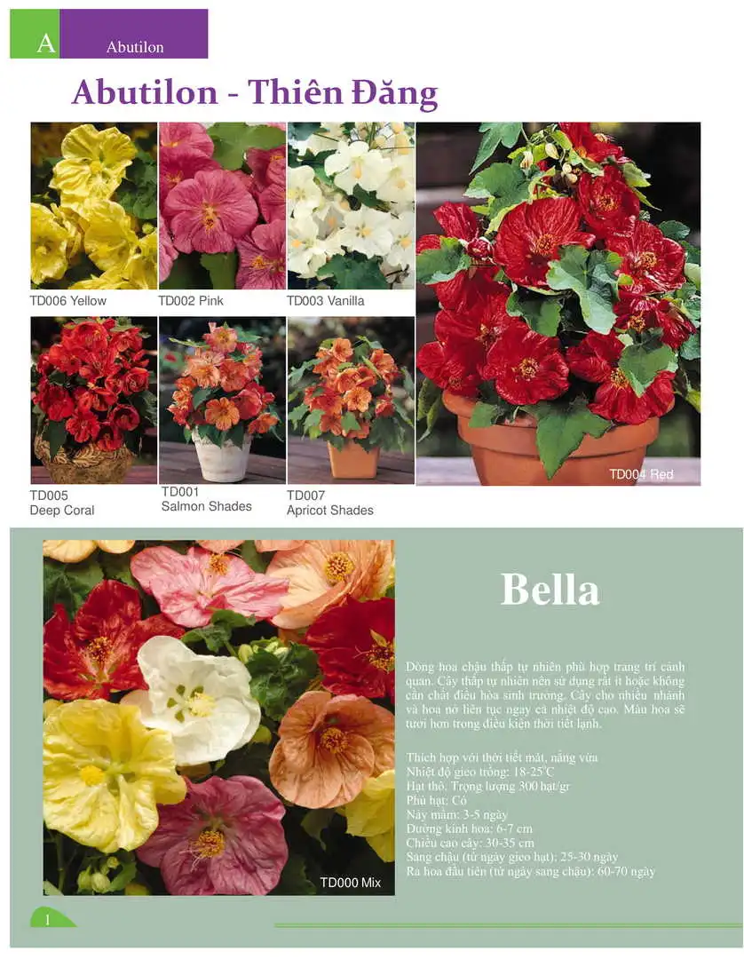 Catalogue-Farmy 1-54-01.webp