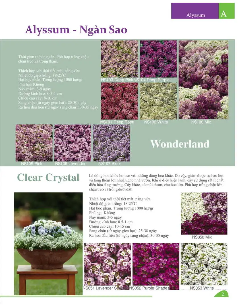 Catalogue-Farmy 1-54-02.webp