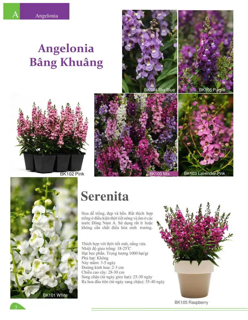 Catalogue-Farmy 1-54-03.webp