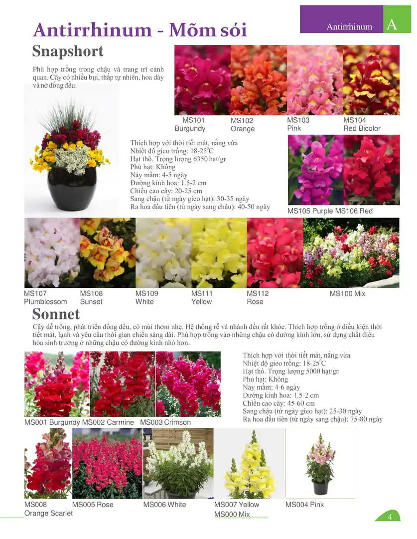 Catalogue-Farmy 1-54-04.webp