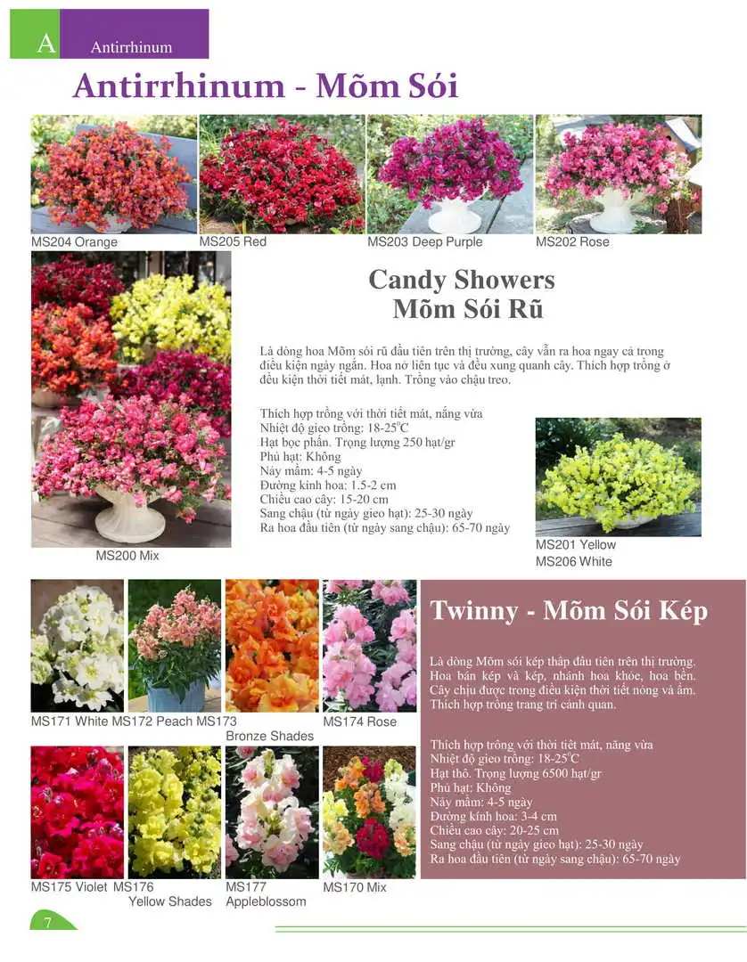 Catalogue-Farmy 1-54-05.webp