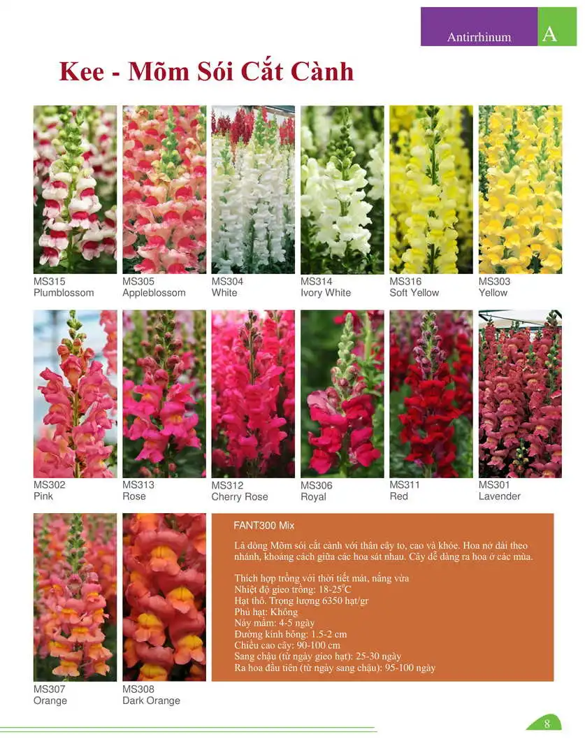 Catalogue-Farmy 1-54-06.webp