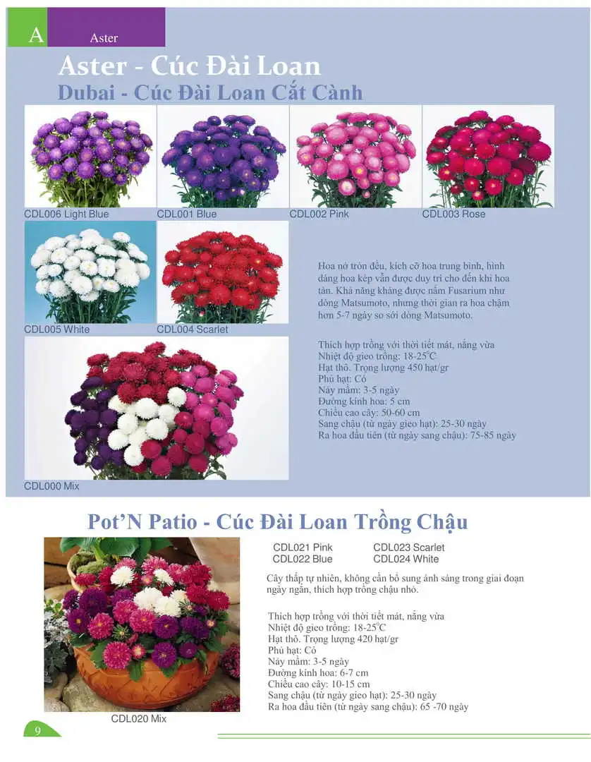 Catalogue-Farmy 1-54-07.webp