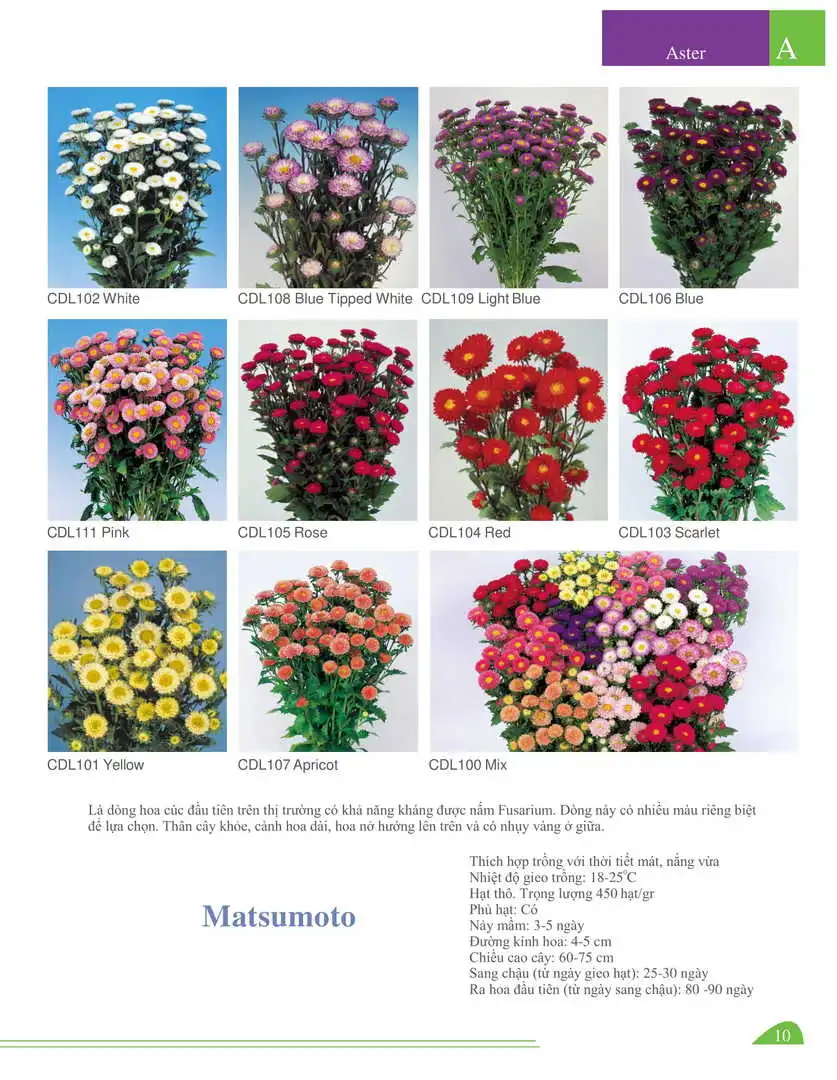 Catalogue-Farmy 1-54-08.webp