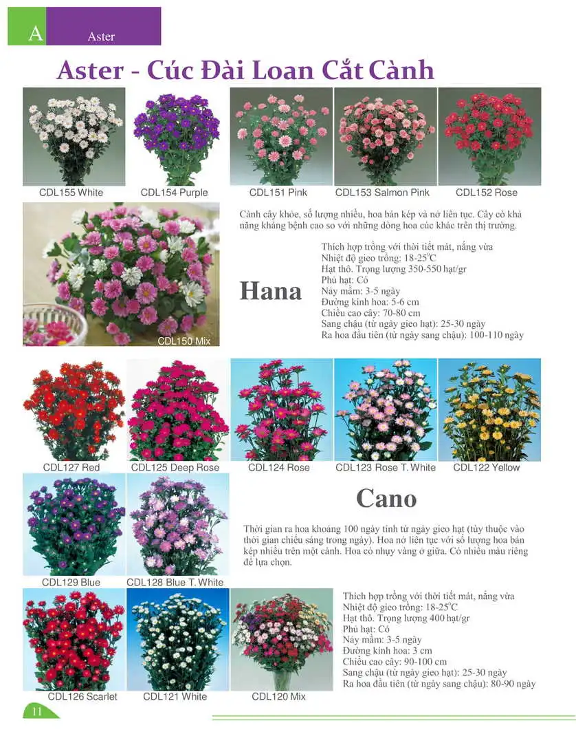 Catalogue-Farmy 1-54-09.webp