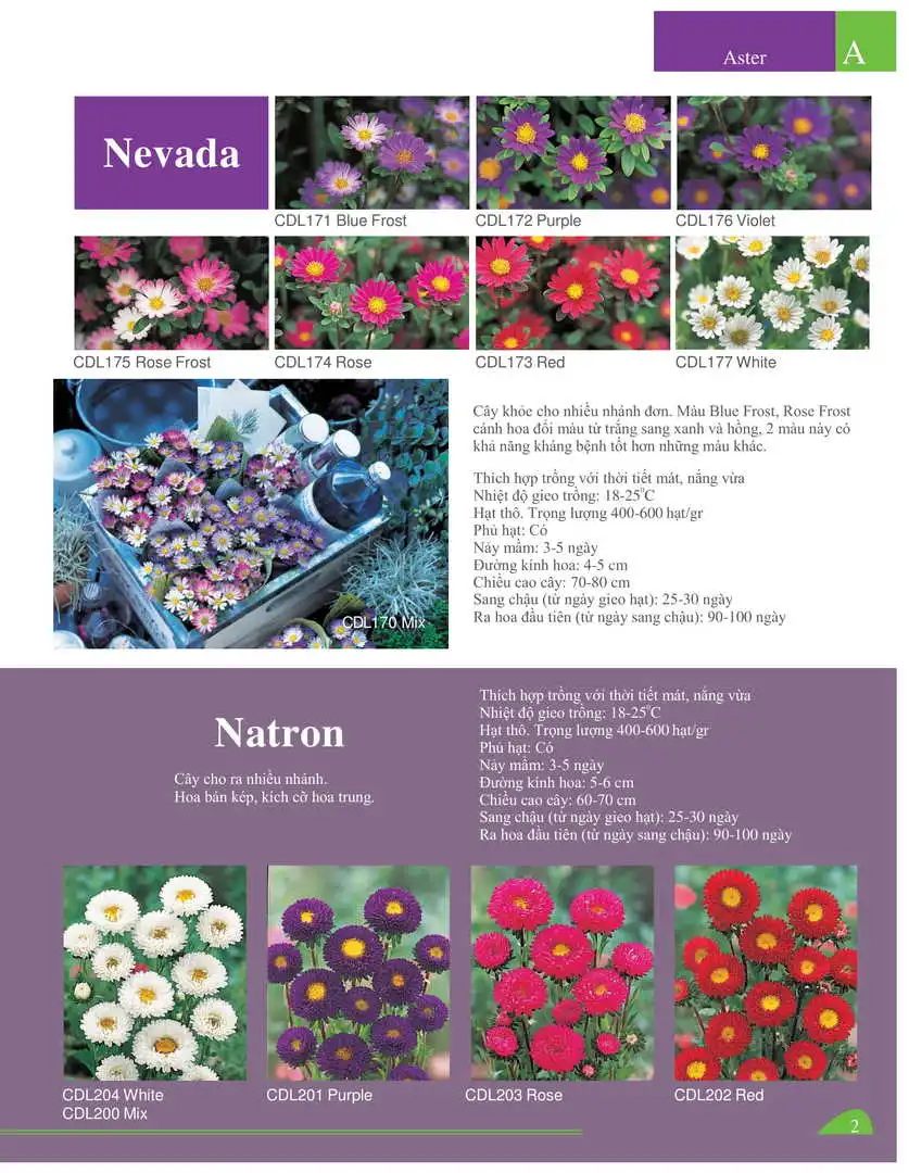 Catalogue-Farmy 1-54-10.webp