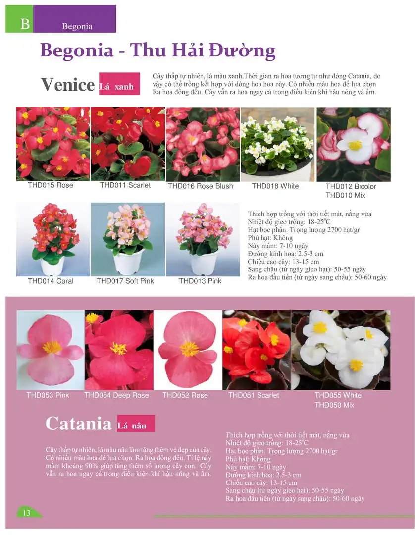 Catalogue-Farmy 1-54-11.webp