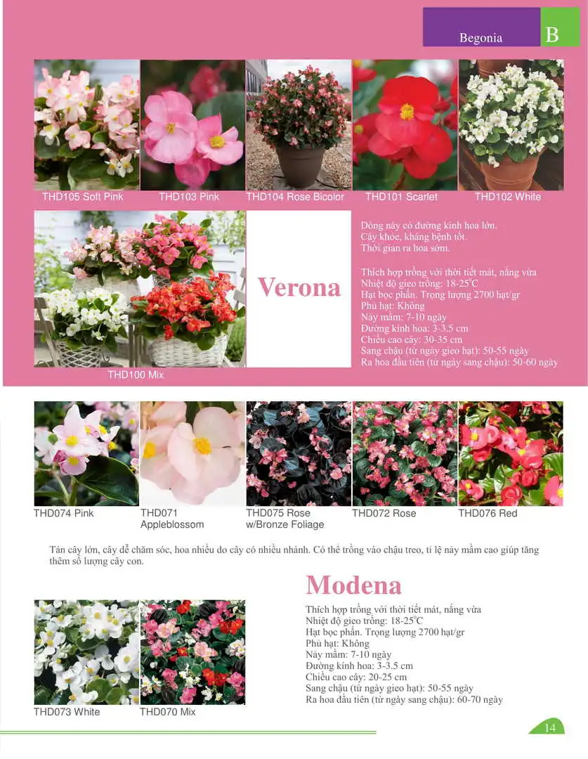 Catalogue-Farmy 1-54-12.webp