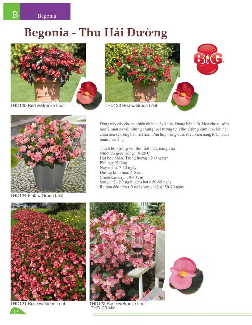 Catalogue-Farmy 1-54-13.webp