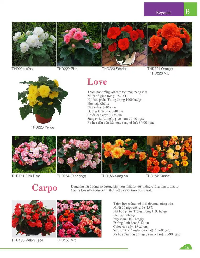 Catalogue-Farmy 1-54-14.webp