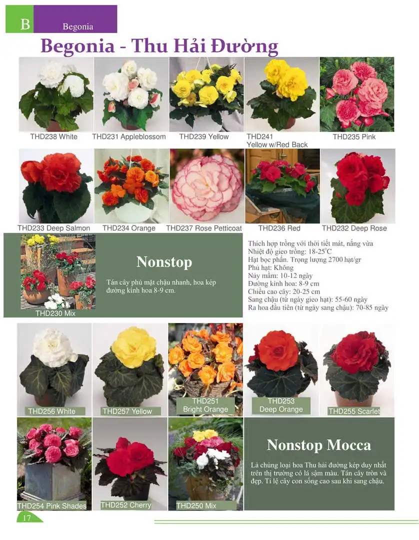 Catalogue-Farmy 1-54-15.webp