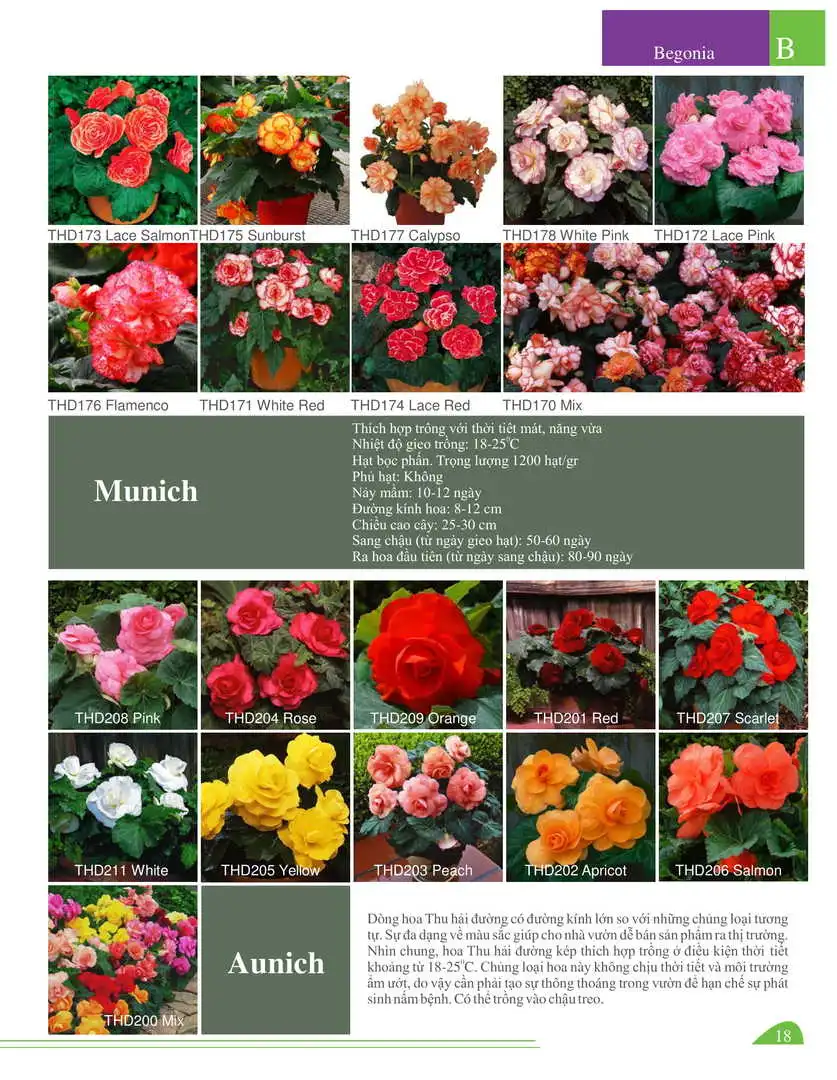 Catalogue-Farmy 1-54-16.webp