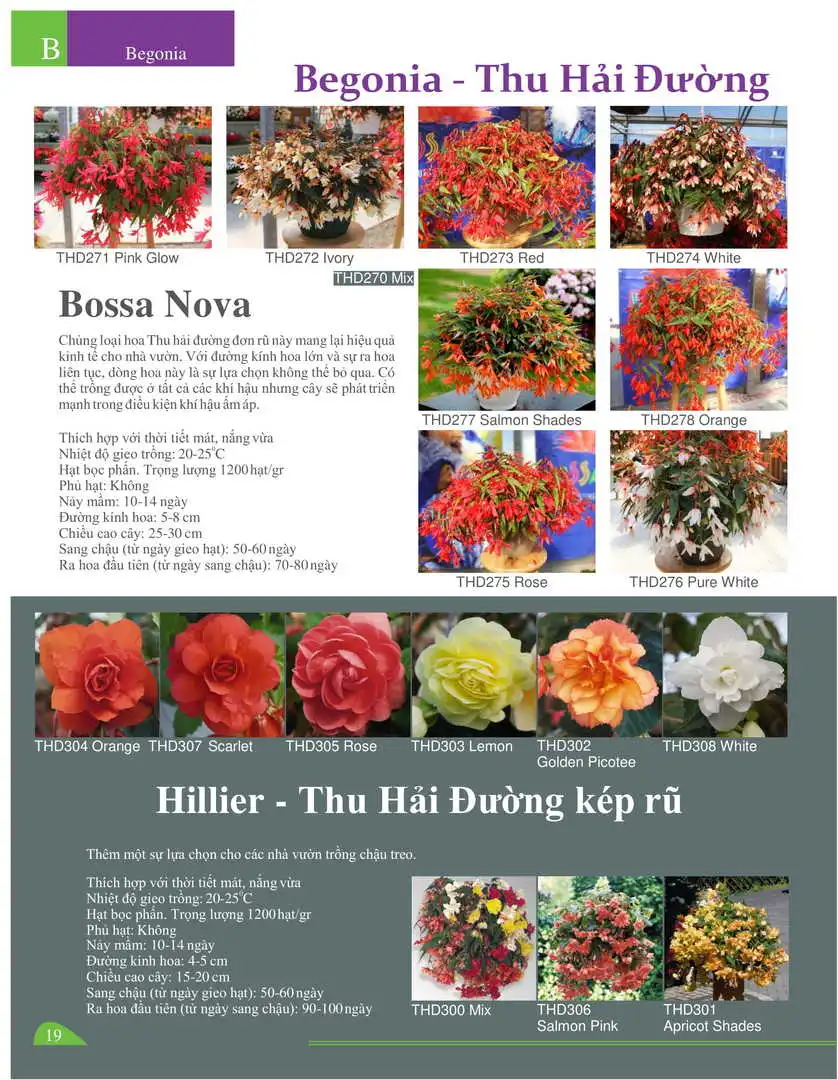 Catalogue-Farmy 1-54-17.webp