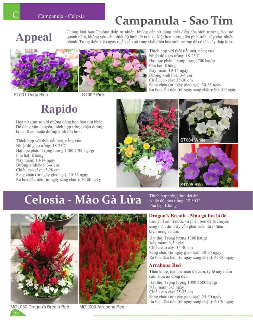 Catalogue-Farmy 1-54-20.webp