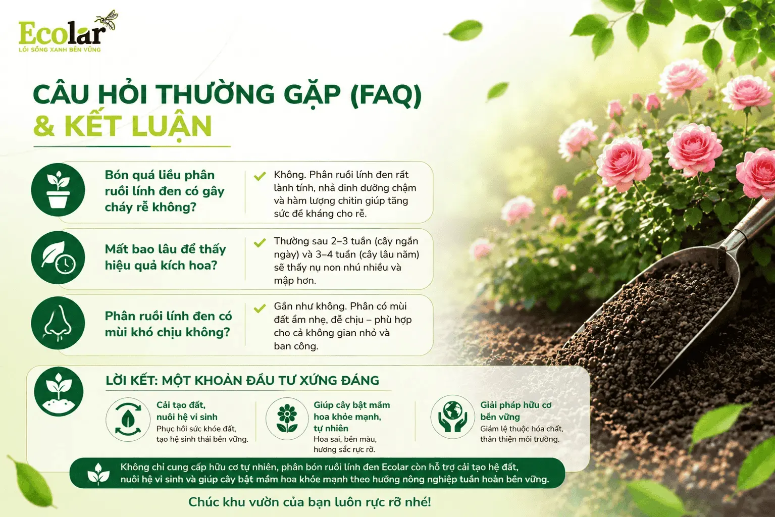 cau-hoi-thuong-gap-faq-va-ket-luan_b6d06d1b97da410e991d1bbaccc796e4 (1).webp