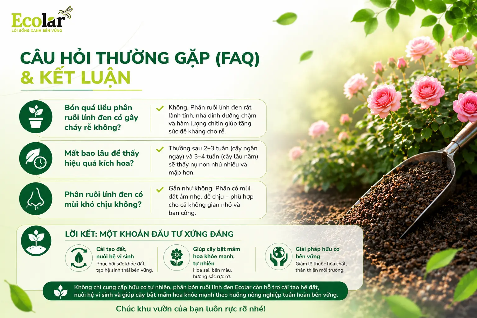 cau-hoi-thuong-gap-faq-va-ket-luan_b6d06d1b97da410e991d1bbaccc796e4.webp