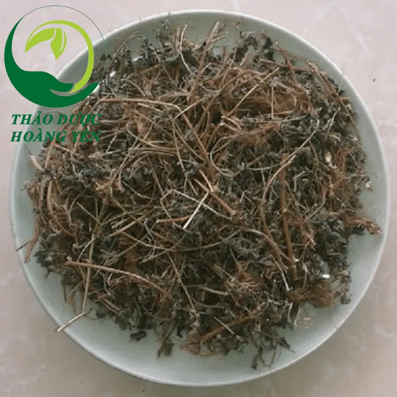 chia sẻ công dụng của cây bọ mắm