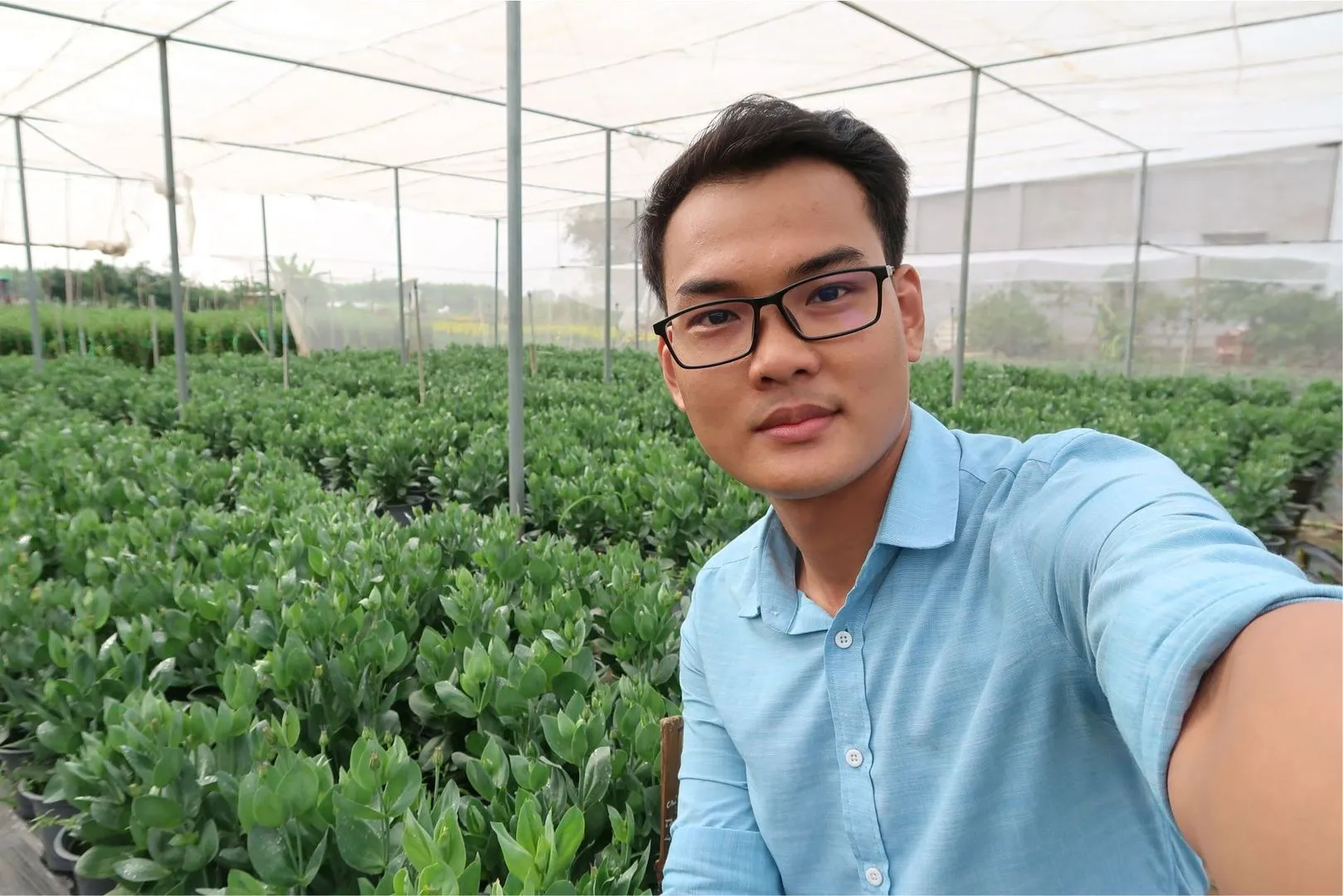 Cay Con Cat Tuong 16.webp