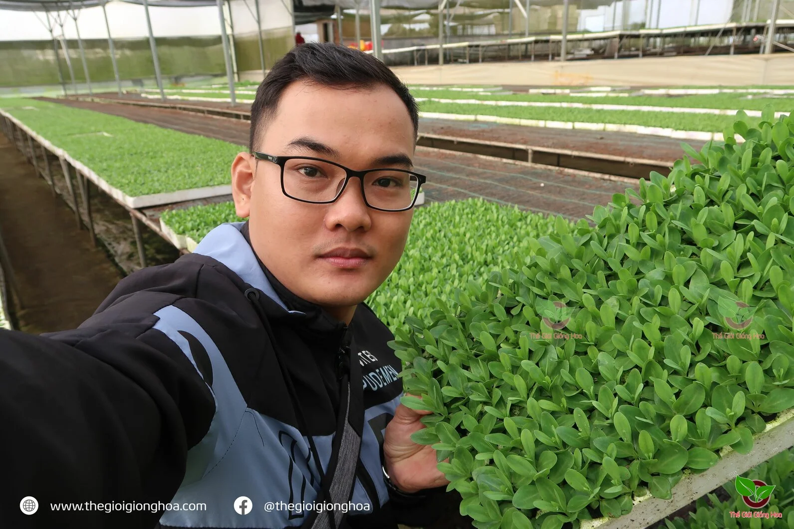 CAY CON CAT TUONG 2.webp