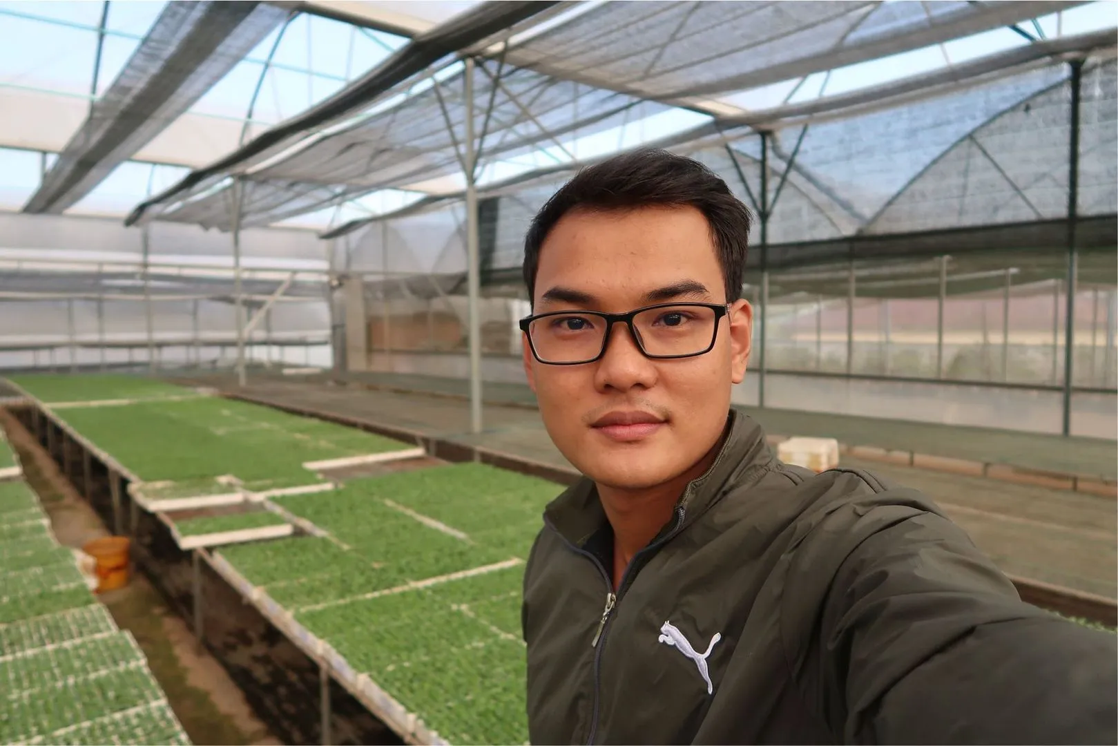 Cay Con Cat Tuong 22.webp