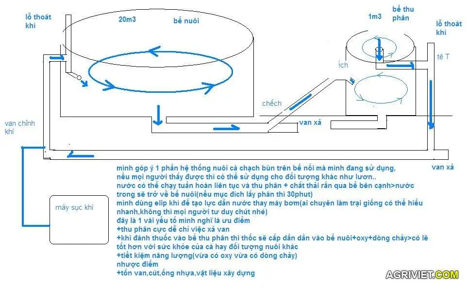 NUÔI CÁ CHẠCH BÙN,LƯƠN ...TRÊN BỂ