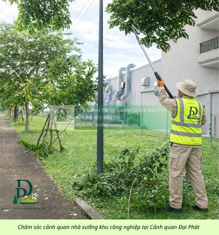 chăm sóc cảnh quan công ty nhà xưởng khu công nghiệp 090226 2.webp