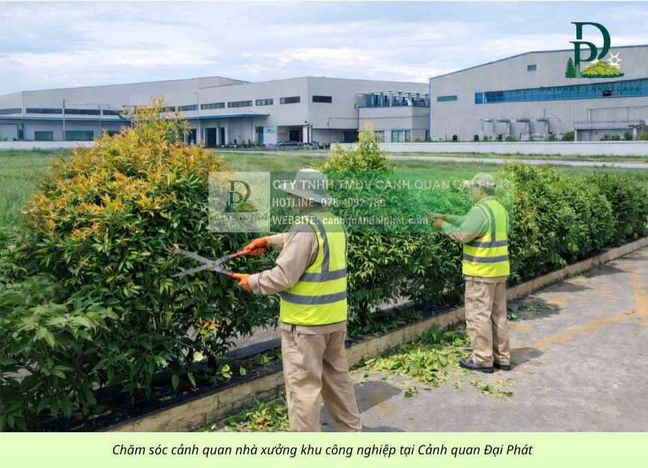 chăm sóc cảnh quan công ty nhà xưởng khu công nghiệp 090226 6.webp