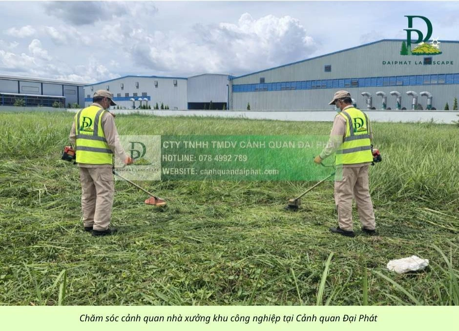 chăm sóc cảnh quan công ty nhà xưởng khu công nghiệp 090226 8.webp