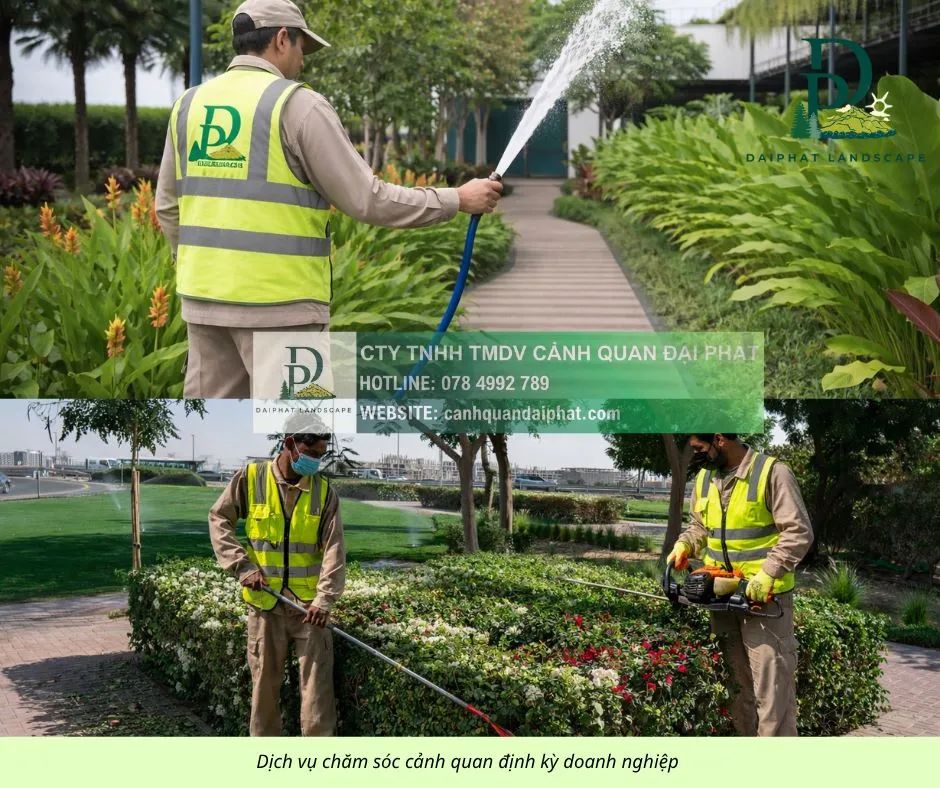 chăm sóc cảnh quan doanh nghiệp 200426 4.webp