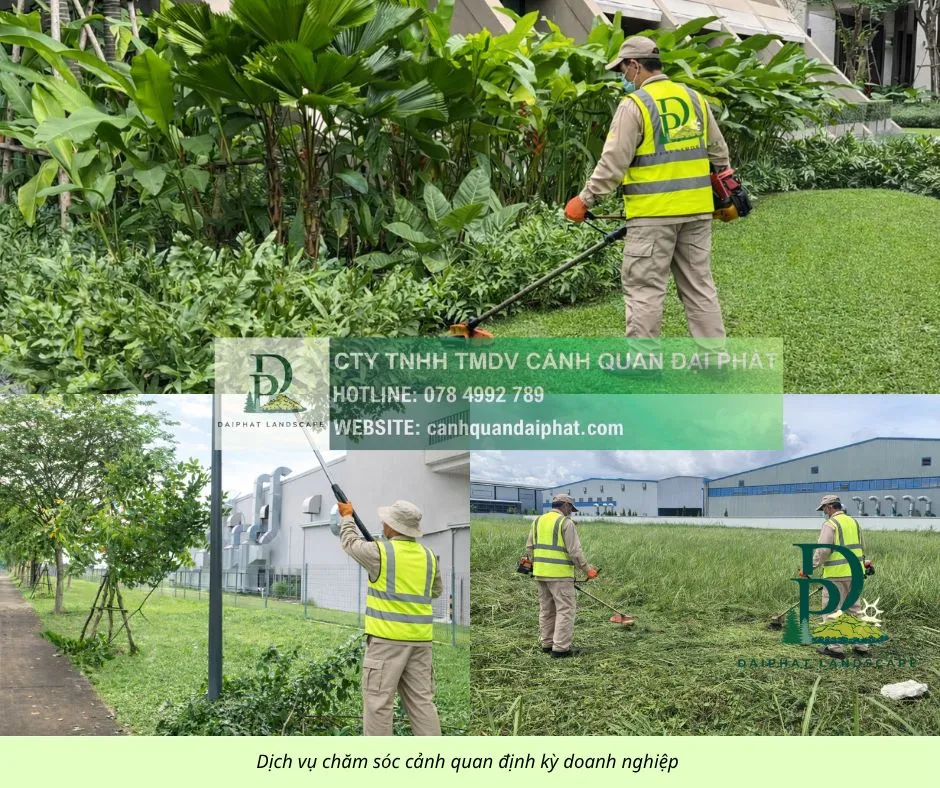 chăm sóc cảnh quan doanh nghiệp 200426 5.webp