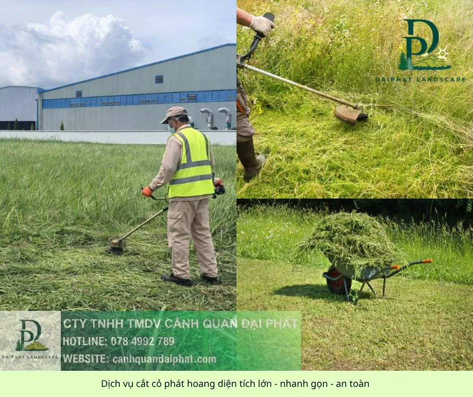 chăm sóc cảnh quan sân vườn cắt cỏ cắt tỉa 210426 1.webp
