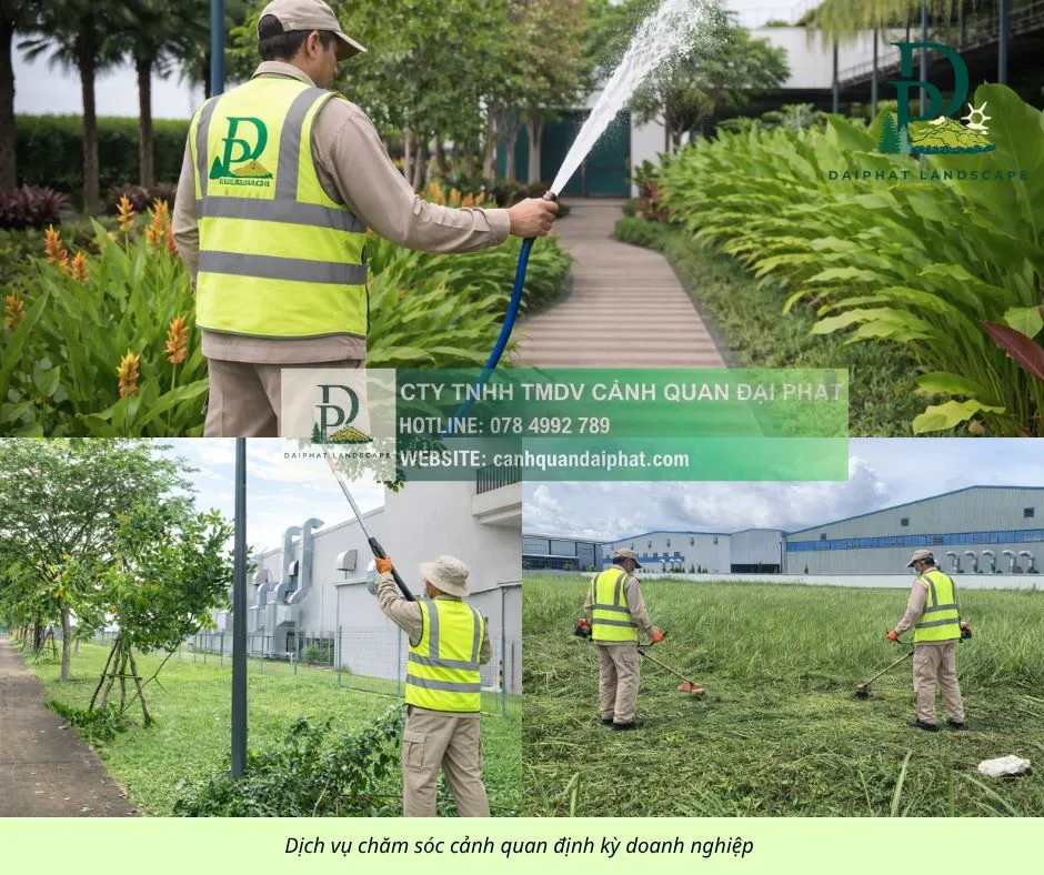 chăm sóc cảnh quan sân vườn cắt cỏ cắt tỉa 210426 2.webp