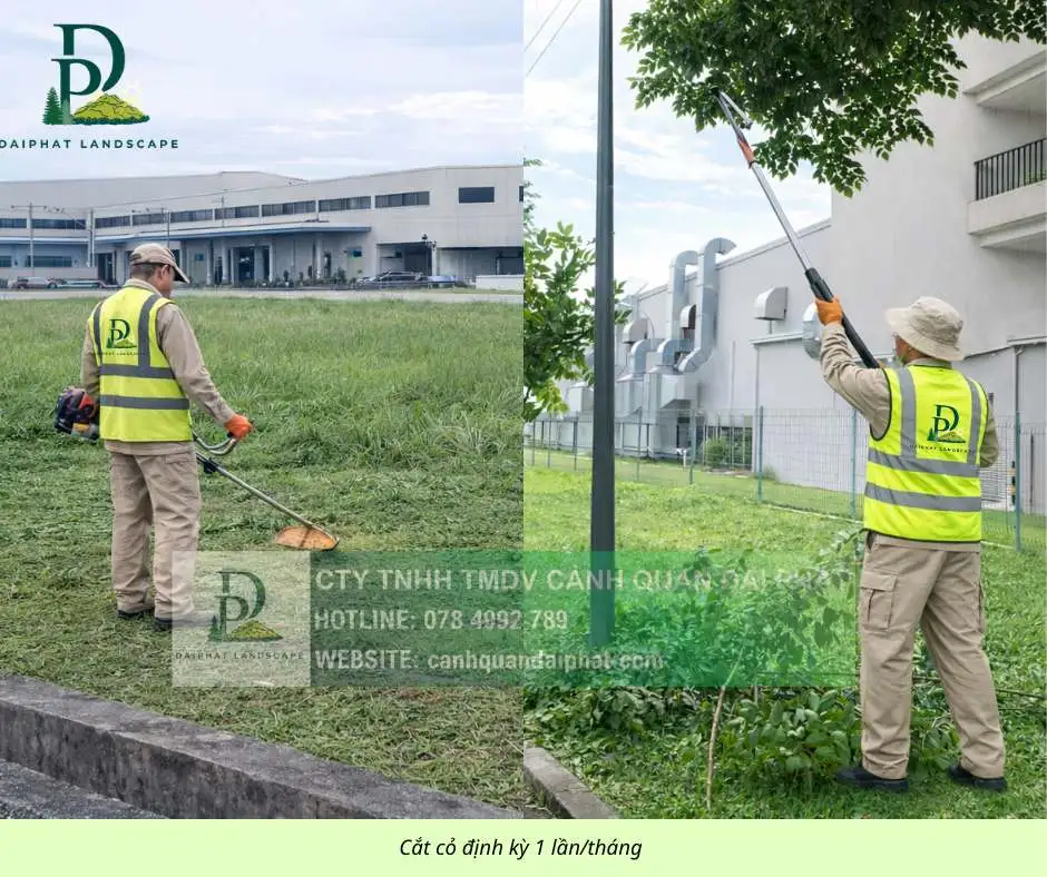 chăm sóc cắt tỉa cây xanh thảm cỏ công trình Đồng Nai  090326 4.webp