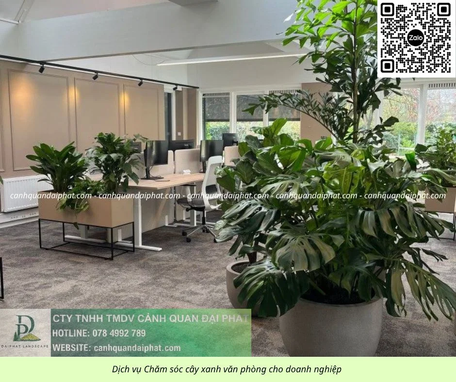 Chăm sóc cây xanh văn phòng 300526 10.webp