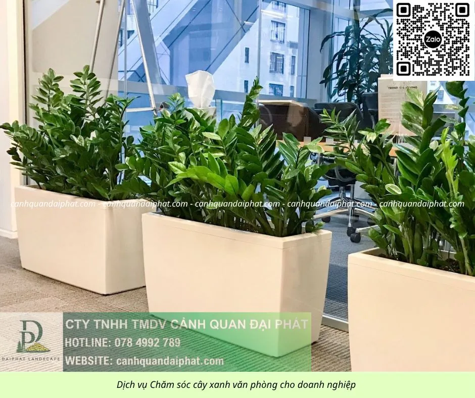 Chăm sóc cây xanh văn phòng 300526 2.webp