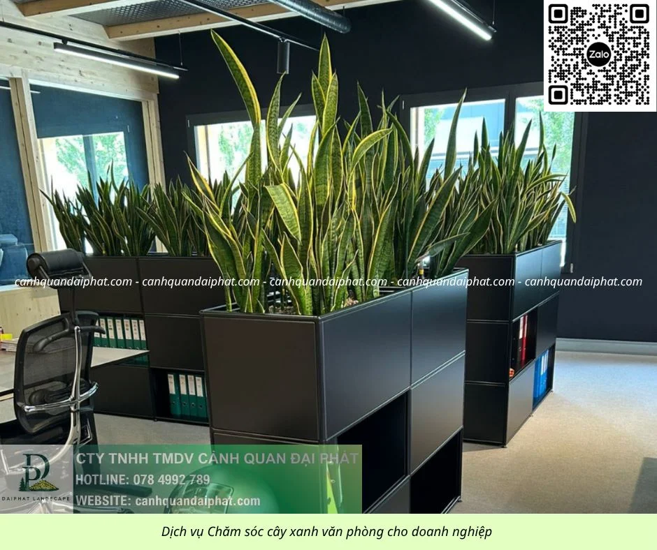 Chăm sóc cây xanh văn phòng 300526 8.webp