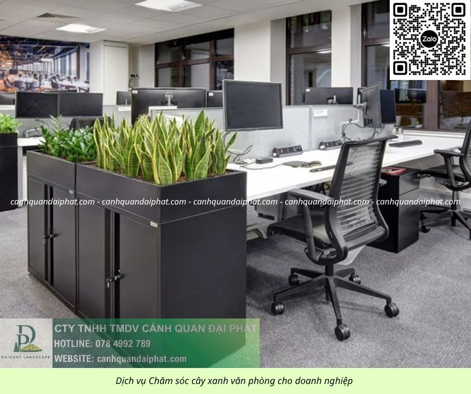 Chăm sóc cây xanh văn phòng 300526 9.webp